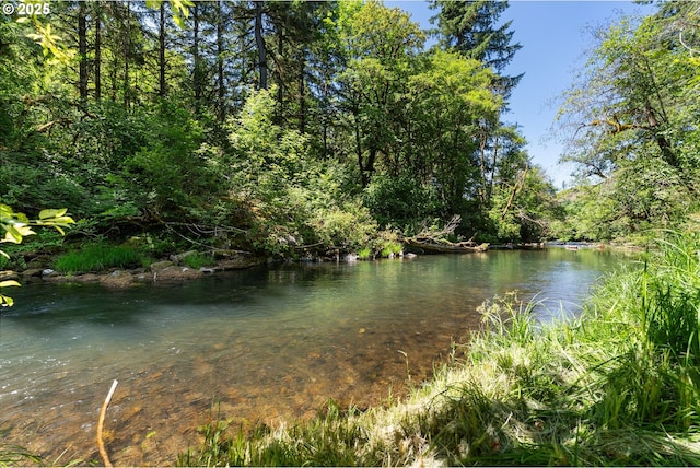 93933 Marcola Rd, Marcola, OR 97454 - water view