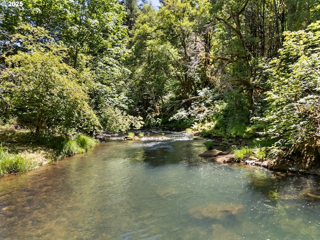 93933 Marcola Rd, Marcola, OR 97454 - water view with a forest