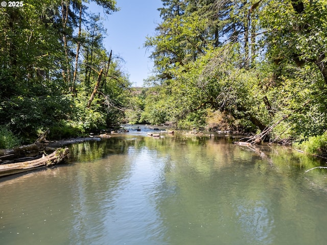 93933 Marcola Rd, Marcola, OR 97454 - water view featuring a forest