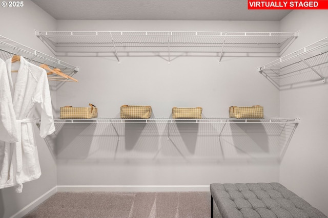 31766 NW Turel Dr, North Plains, OR 97133 - walk in closet featuring carpet floors