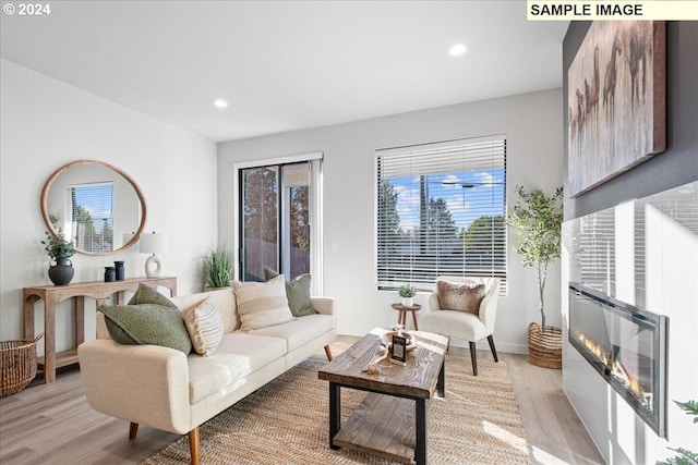 living room with light hardwood / wood-style floors