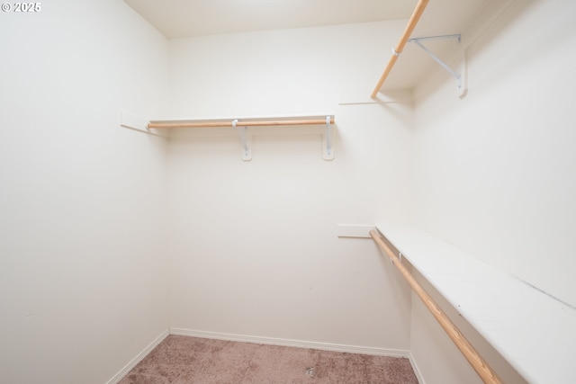 1067 S 55th St, Springfield, OR 97478 - spacious closet featuring light colored carpet