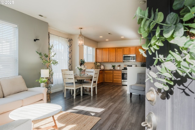 kitchen with dark wood-type flooring, stainless steel appliances, and hanging light fixtures