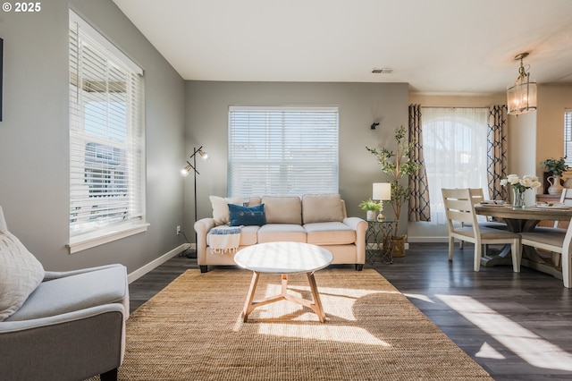 living room with plenty of natural light and dark hardwood / wood-style flooring