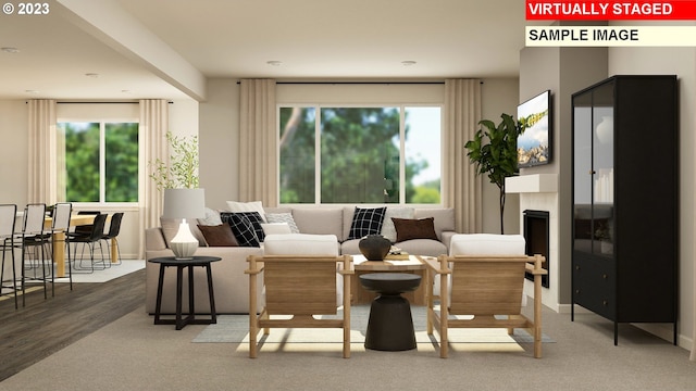 living room featuring hardwood / wood-style flooring