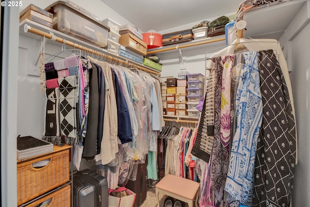 view of spacious closet