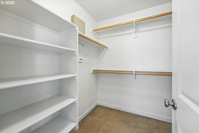 walk in closet with carpet