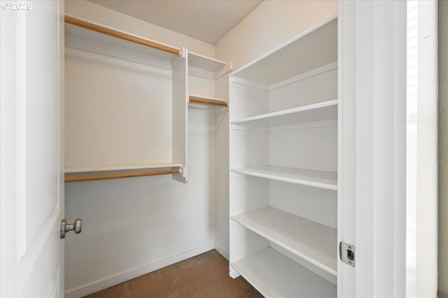 spacious closet featuring carpet flooring