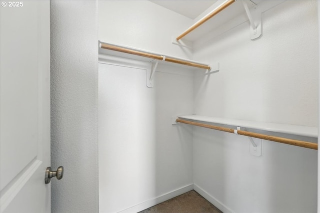 spacious closet with carpet