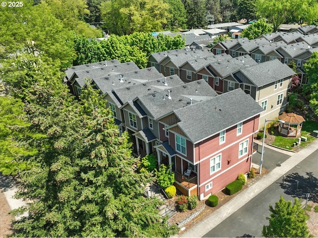 drone / aerial view