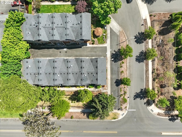 bird's eye view