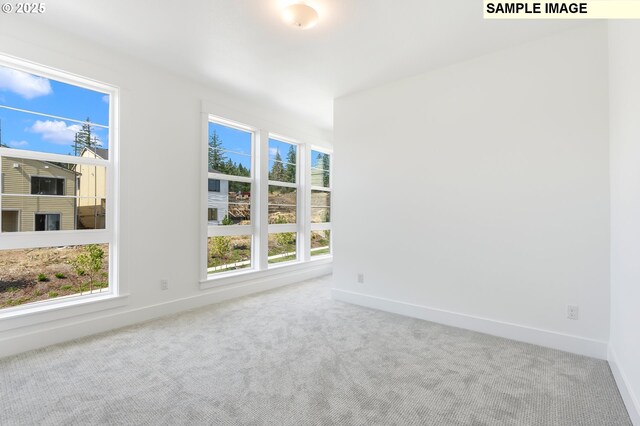 carpeted spare room featuring plenty of natural light