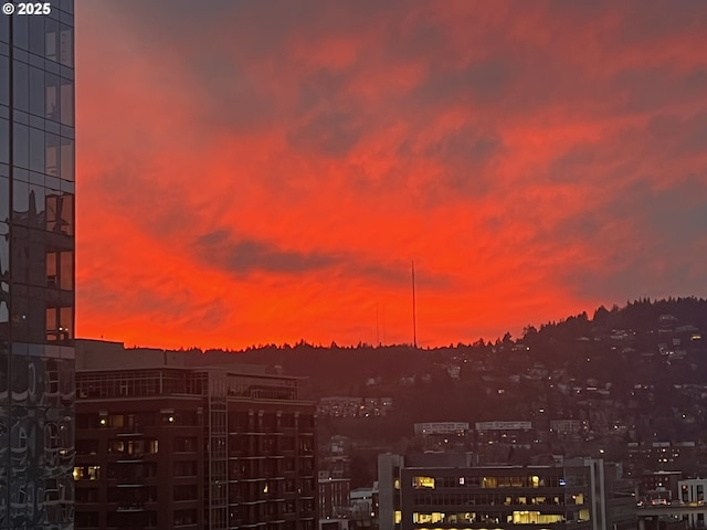 949 NW Overton St Unit 1302, Portland, OR 97209 - view of city