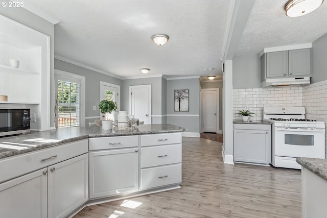 1902 N Terry St, Portland, OR 97217 - kitchen featuring white gas stove, stainless steel microwave, under cabinet range hood, tasteful backsplash, and light wood-style flooring