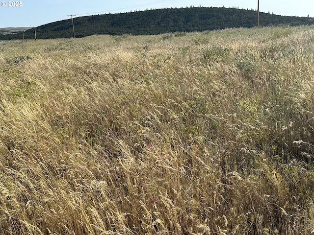 Oak Flt Unit 1, Goldendale, WA 98620