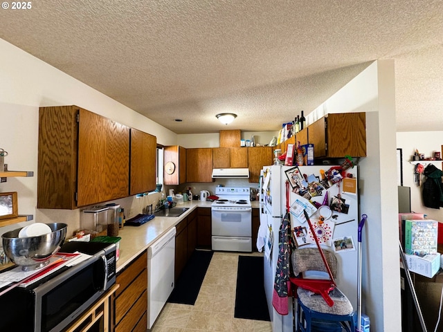 kitchen with white appliances, brown cabinets, light countertops, under cabinet range hood, and a sink