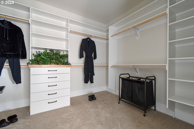 spacious closet featuring light colored carpet