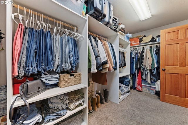 18122 Hulden Ln, Arlington, OR 97812 - spacious closet with carpet flooring