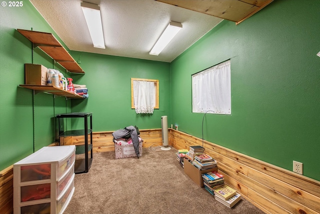 18122 Hulden Ln, Arlington, OR 97812 - misc room featuring carpet flooring and a textured ceiling