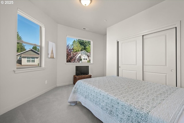 bedroom with a closet and carpet