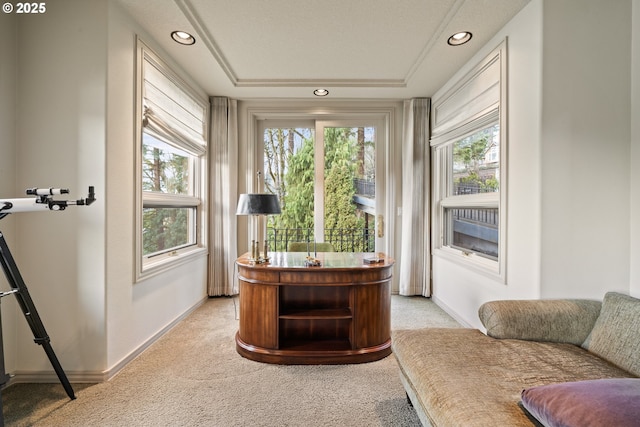 view of carpeted office