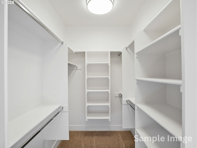 walk in closet with carpet flooring