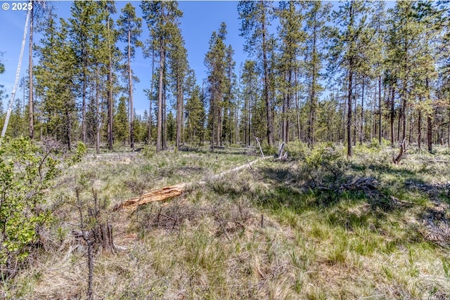 56095 Black Duck Rd, Bend, OR 97707 - view of wooded area