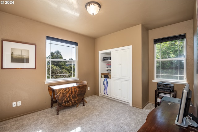 office with carpet floors