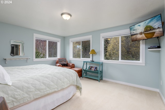 bedroom with baseboards and light colored carpet