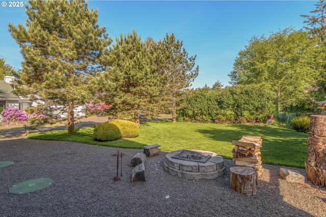 view of yard with an outdoor fire pit