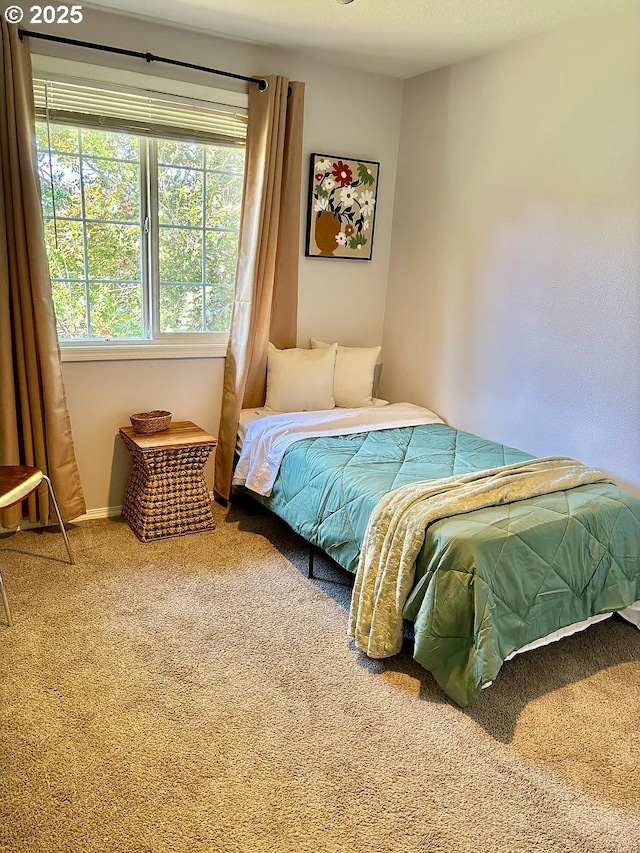 12708 NE 46th St, Vancouver, WA 98662 - view of carpeted bedroom
