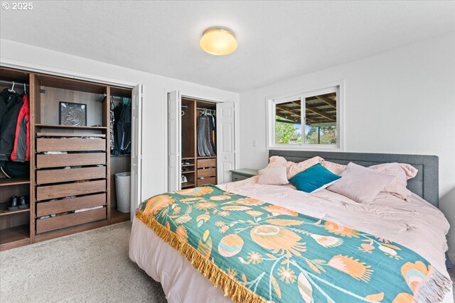 carpeted bedroom featuring two closets