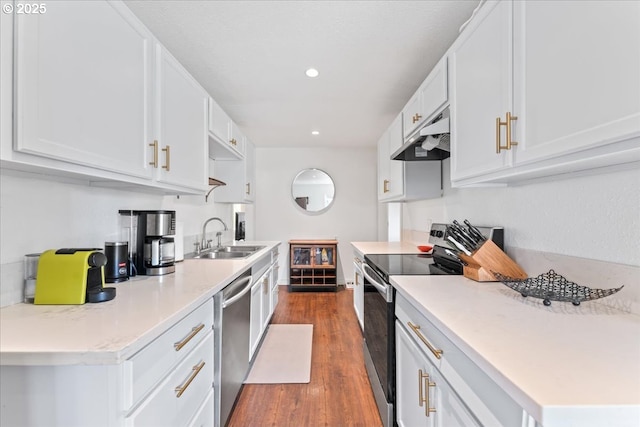 kitchen featuring wood finished floors, recessed lighting, under cabinet range hood, a sink, and stainless steel appliances