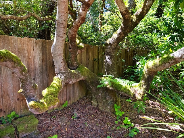 485 N Ave, Manzanita, OR 97130 - view of undeveloped land