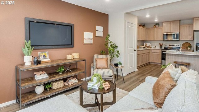 living room with light hardwood / wood-style floors