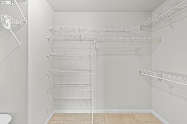 1845 S 15th Ct, Ridgefield, WA 98642 - spacious closet featuring carpet flooring