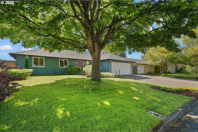 ranch-style home featuring driveway, an attached garage, and a front lawn