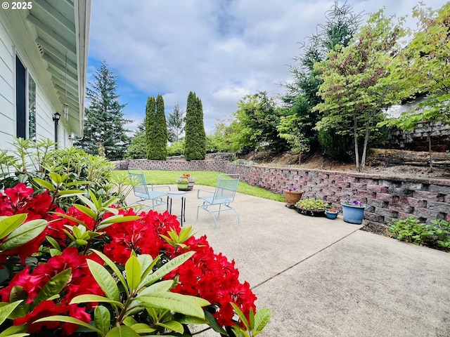 2295 Chi Chi Ln, Sutherlin, OR 97479 - view of patio / terrace