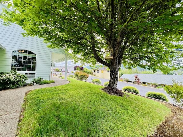 2295 Chi Chi Ln, Sutherlin, OR 97479 - view of green lawn