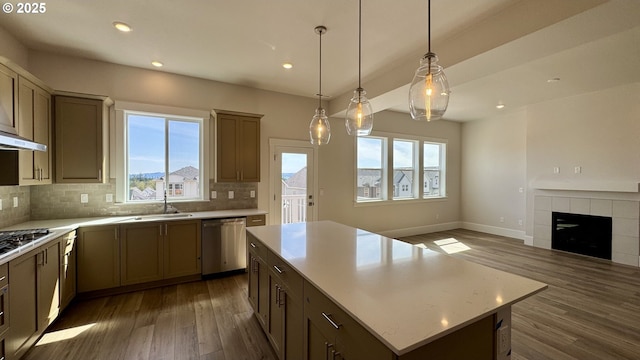 17880 SW Alvord Ln, Beaverton, OR 97007 - kitchen featuring a healthy amount of sunlight, tasteful backsplash, stainless steel appliances, and dark wood-style floors