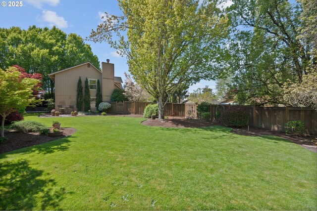view of yard featuring a fenced backyard