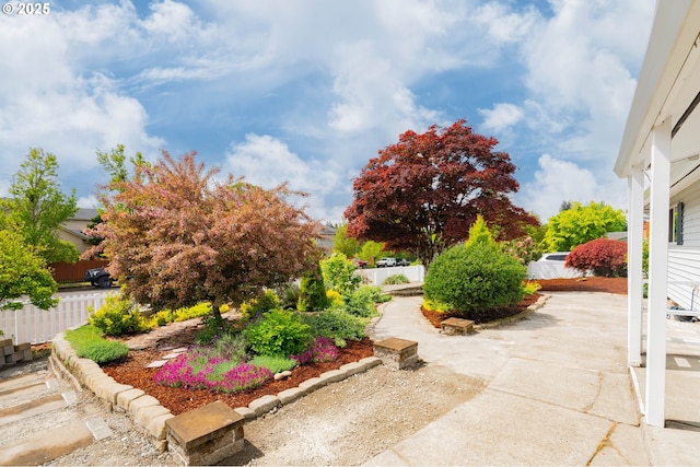 view of yard featuring fence and a patio area