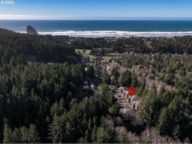 view of property location featuring a nearby body of water and a heavily wooded area