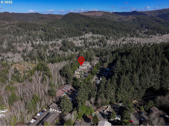 aerial overview of property's location featuring a forest and a mountainous background