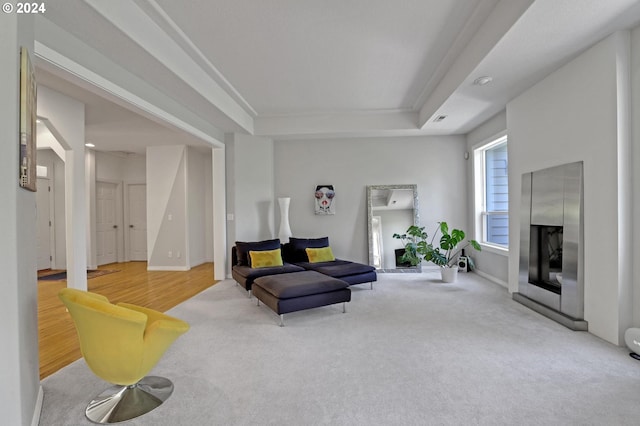 carpeted living room with a tray ceiling