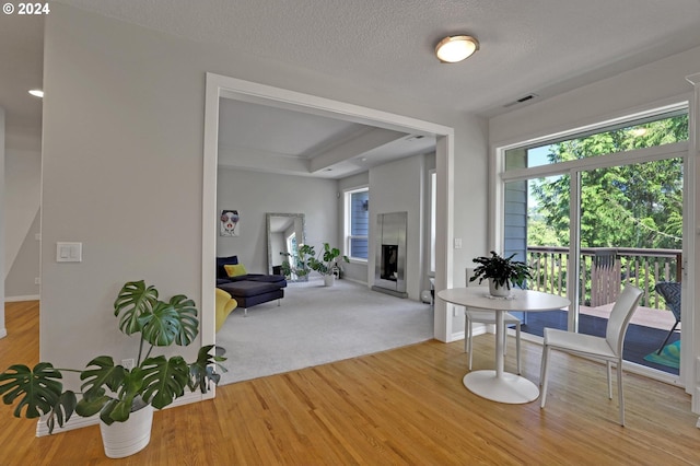 sitting room with light hardwood / wood-style floors and a textured ceiling