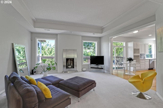 living room with plenty of natural light, a fireplace, and a tray ceiling