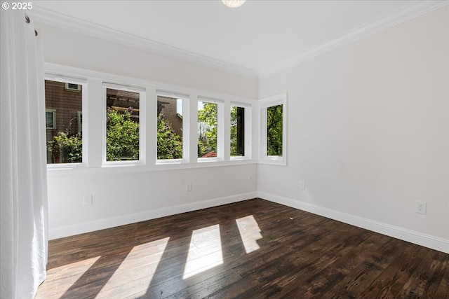 empty room featuring baseboards, dark wood-style flooring, and a wealth of natural light