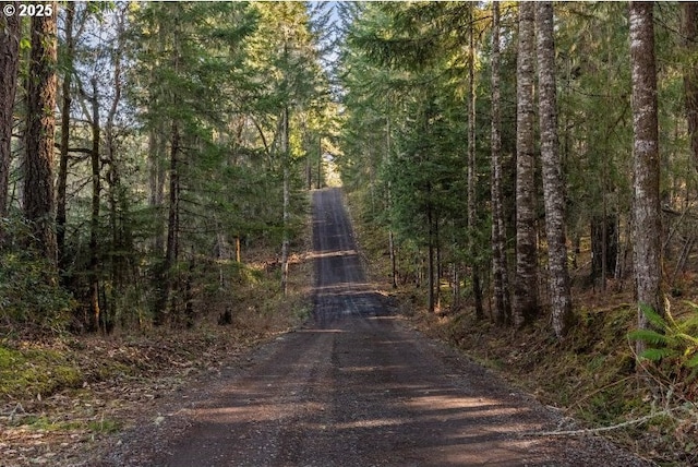 view of road featuring a forest view