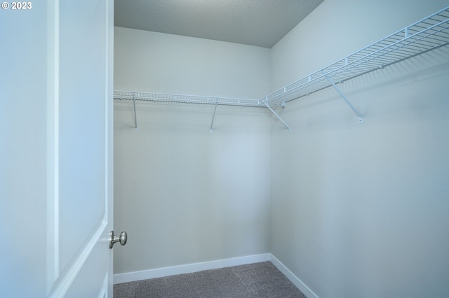 walk in closet with carpet flooring
